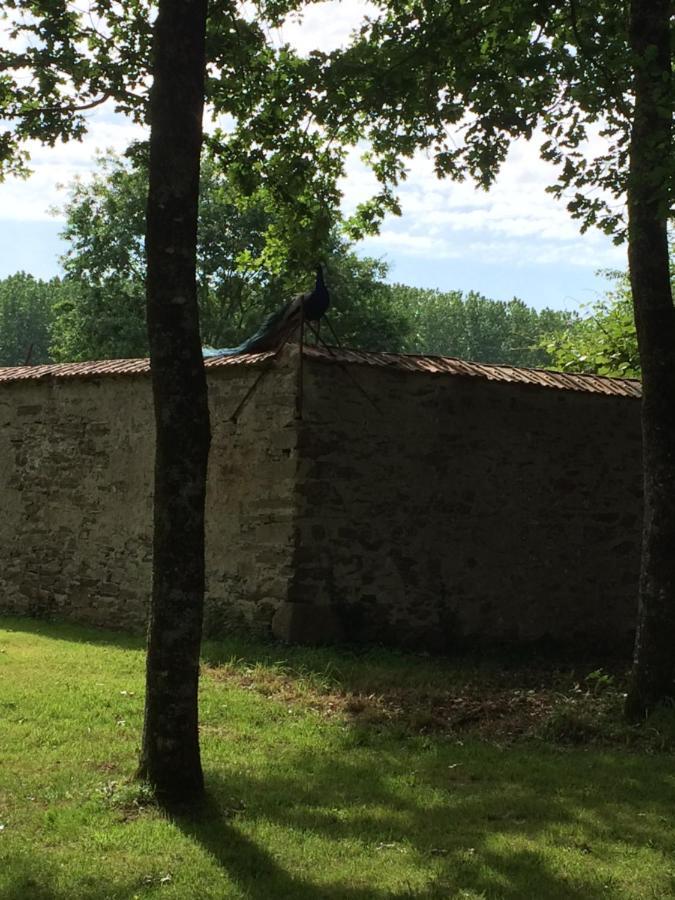 Cabanes Et Studios A La Bernardiere Sevremoine Eksteriør bilde